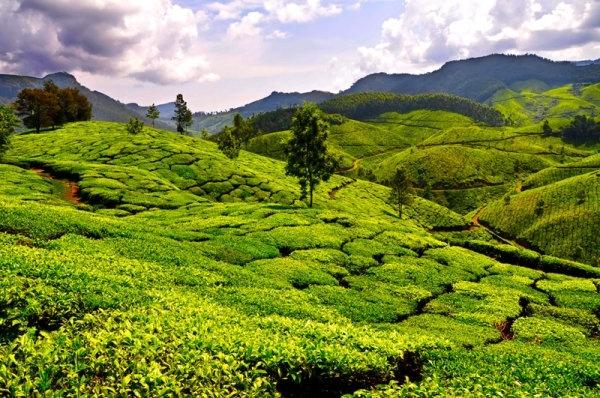 Magnificent Mountains of North-East
