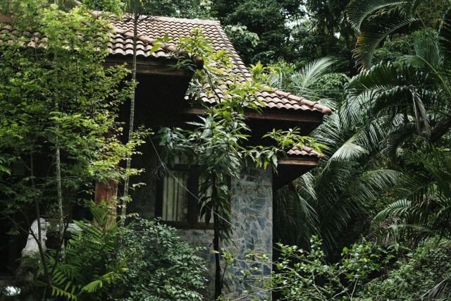 Jalakara